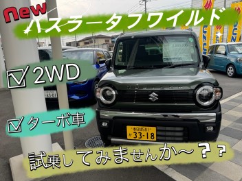 ハスラータフワイルド試乗できます！！